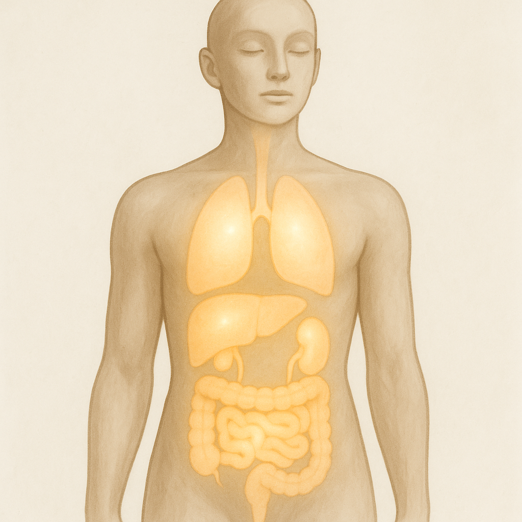 Detoksikacija ir organizmo valymas 2 A